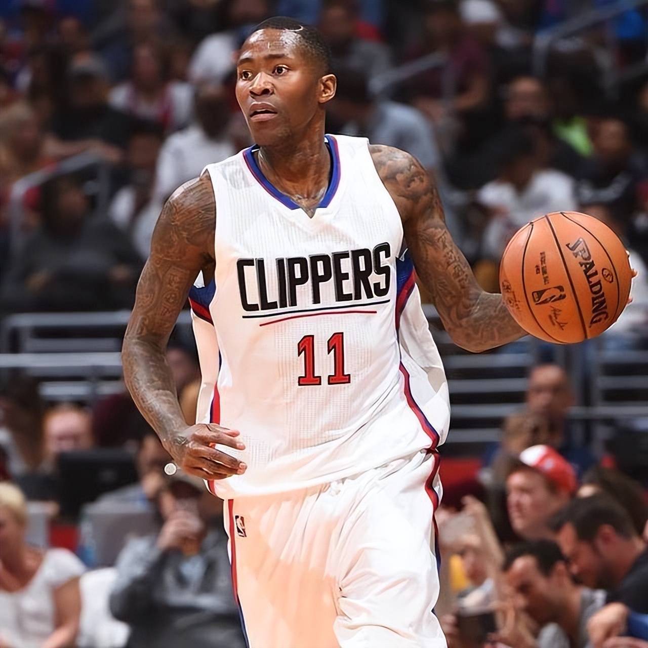 卡尔内主动 卡尔内主动